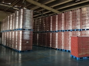 Tapas/cubiertas de plástico para palets