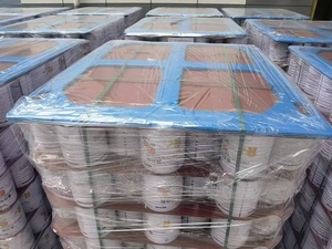 Tapas/cubiertas de plástico para palets